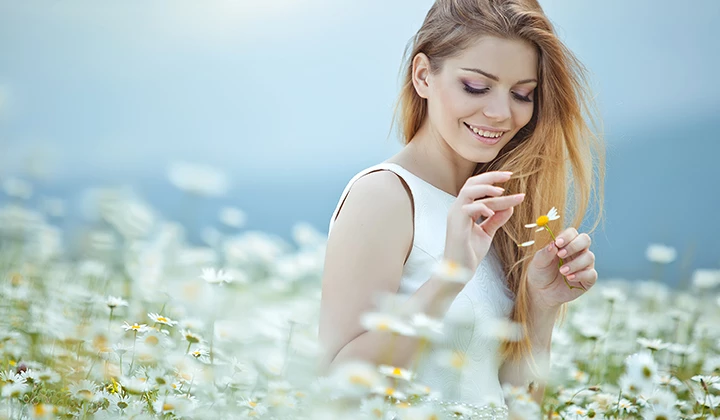 Kamistad mit Kamille