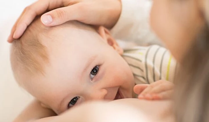 Kamistad mit Kamille